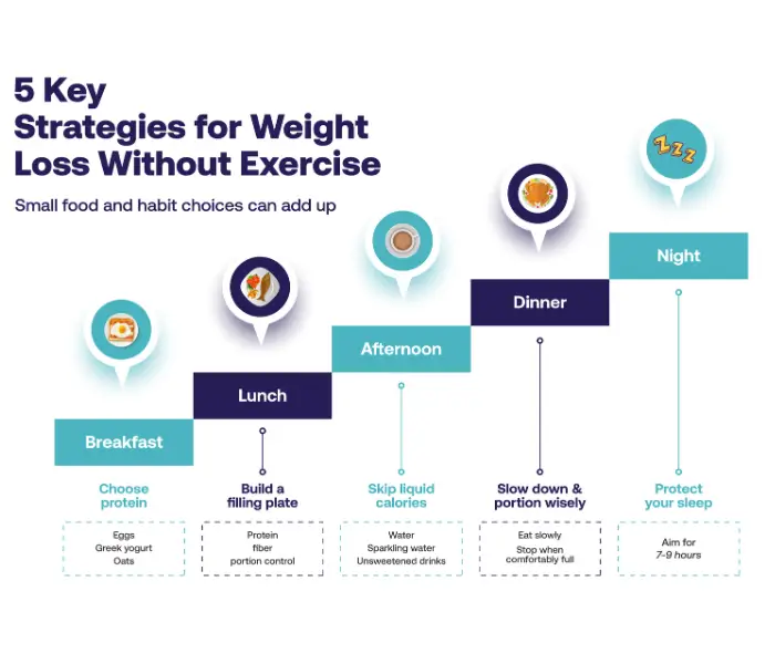How To  Lose Weight Without Exercising